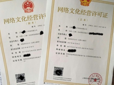 上海網絡文化經營許可證辦理全攻略 條件、流程與注意事項