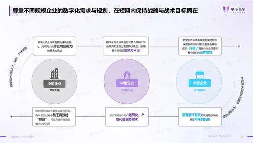 2023年中國(guó)企業(yè)低代碼與無(wú)代碼產(chǎn)品應(yīng)用與實(shí)踐研究 計(jì)算機(jī)系統(tǒng)服務(wù)的轉(zhuǎn)型與機(jī)遇