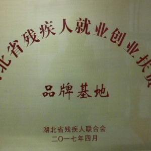 殘疾人就業創業品牌基