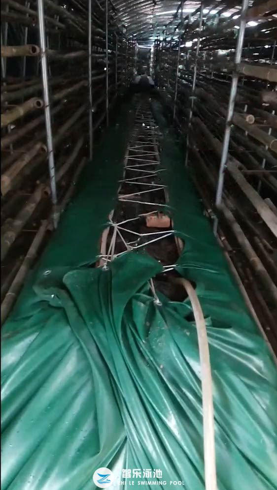 智樂香菇菌棒泡水袋